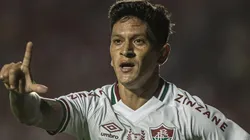 Foto: Marcelo Gonçalves/Fluminense