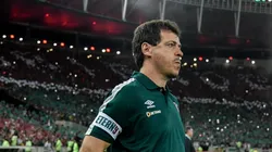 Thiago Ribeiro/AGIF - Diniz é exaltado por sequência no Fluminense