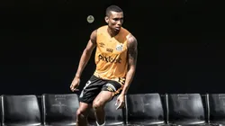 Foto: Ivan Storti/ Santos FC