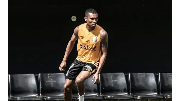Foto: Ivan Storti/ Santos FC
