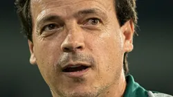 Fernando Diniz treinou o São Paulo (Foto: Jorge Rodrigues/AGIF)