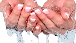 Foto: reprodução Pixabay