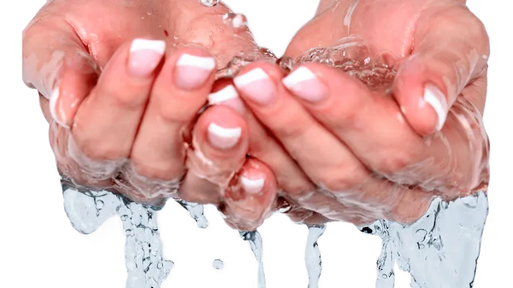 Foto: reprodução Pixabay