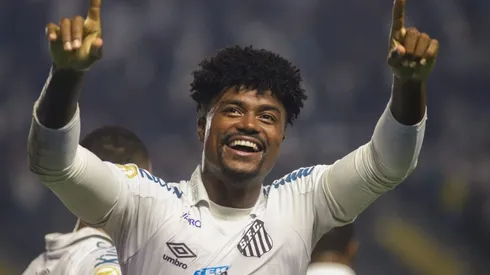 Agif/Fernanda Luz - Bauermann pode ganhar colega de zaga no Santos