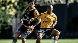Foto: Ivan Storti/ Santos