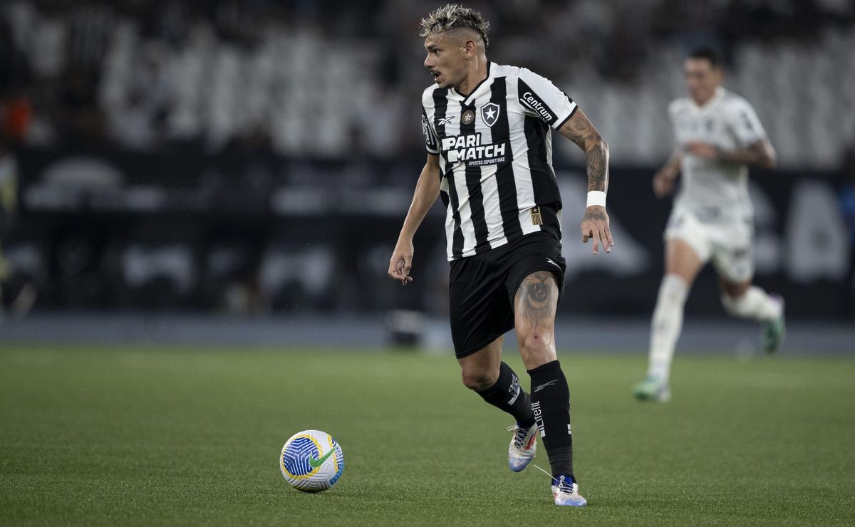 Botafogo x Palmeiras: qual time vai vencer o confronto que vale a liderança, segundo odds