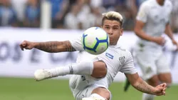 Foto: Ivan Storti/ Santos