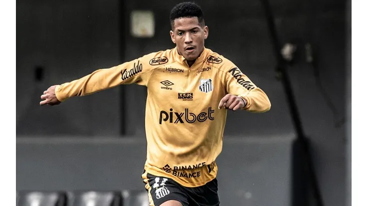 Foto: Ivan Storti/Santos FC