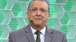 Imagem: Reprodução/TV Globo