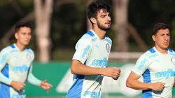 Foto: Fábio Menotti/ Flickr oficial Palmeiras