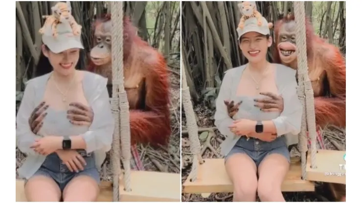 Dararat Suwanmai levou uma "apalpada" de um orangotango em vídeo que viralizou
