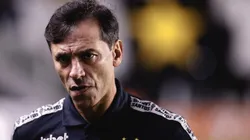 Foto: Ettore Chiereguini/AGIF - Fabián Bustos vem sendo criticado após vários tropeços do Santos na temporada