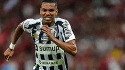 Madson tem contrato com o Santos até dezembro (Foto: Thiago Ribeiro/AGIF)