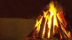 Foto: reprodução Pixabay