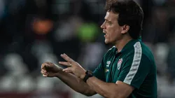 Foto: Marcelo Gonçalves/Fluminense FC/Divulgação - Fernando Diniz: satisfeito com o desempenho de medalhão