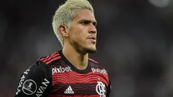 “Que doideira”: Palmeiras topou pagar R$ 107,8 milhões à vista por Pedro e mais um meia