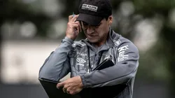 Foto: Ivan Storti/Santos FC