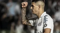 Foto: Ivan Storti/Santos FC - Rodrigo Fernández custa R$ 6 milhões ao Santos; Bruno Oliveira, por sua vez, R$ 800 mil