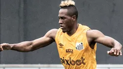 Foto: Ivan Storti/Santos FC