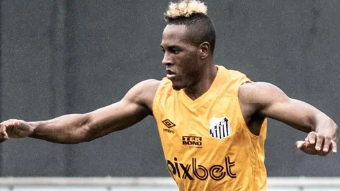 Foto: Ivan Storti/Santos FC