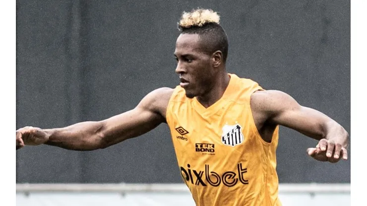 Foto: Ivan Storti/Santos FC