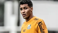 Foto: Ivan Storti/Santos FC