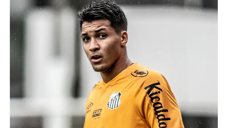 Foto: Ivan Storti/Santos FC
