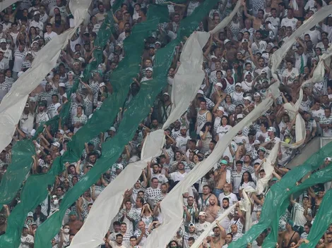 Leila Pereira arma estratégia ousada e Palmeiras deve ter Allianz lotado conta o SPFC