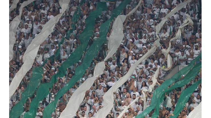 Foto: César Greco/ Palmeiras