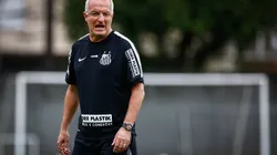 Ricardo Saibun/AGIF - Dorival fala sobre contato com o Santos