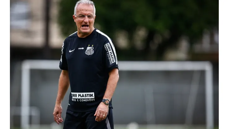 Ricardo Saibun/AGIF - Dorival fala sobre contato com o Santos