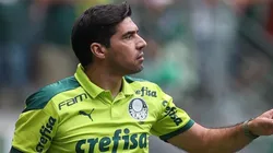 (Foto: Cesar Greco/Palmeiras/Flickr Oficial/Divulgação)