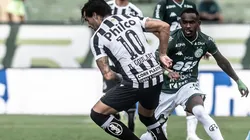 Foto: Ivan Storti/Santos FC