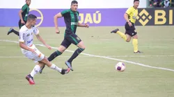 Claudinei em ação com o Novorizontino na Copinha (Foto: Arquivo pessoal)