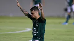 Foto: Heber Gomes/AGIF | O Flamengo detém 80% e o Goiás 5% dos direitos de Michael