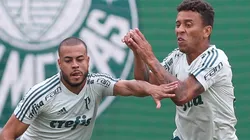 Foto: Flickr Oficial Sociedade Esportiva Palmeiras