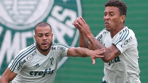 Foto: Flickr Oficial Sociedade Esportiva Palmeiras