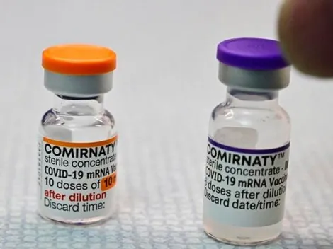 Aprovou! Anvisa autoriza vacina da Pfizer para crianças de 5 a 11 anos de idade; saiba mais