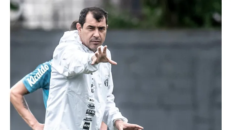 Foto: Ivan Storti/ Santos FC