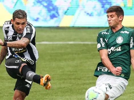 Advogada brinca com futuro de Navarro e agita torcida