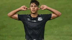 Foto: Flickr Oficial Santos Futebol Clube - autor: Ivan Storti