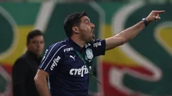 Foto:Flickr Oficial Sociedade Esportiva Palmeiras - autor: Cesar Greco