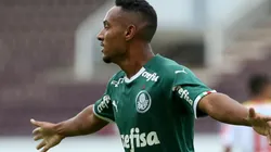 Foto: Flickr Sociedade Esportiva Palmeiras - autor: Fabio Menotti