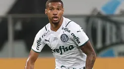 (Foto: Cesar Greco/Flickr/Palmeiras)