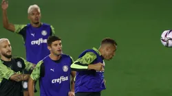 Palmeiras utilizará uniforme diferente nos jogos do Mundial de Clubes por determinação da FIFA