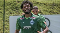 Foto: Divulgação - CFC