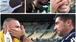 Montagem de fotos da TV Palmeiras