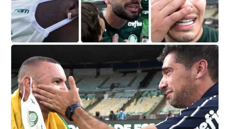 Montagem de fotos da TV Palmeiras