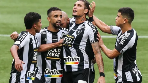 Torcedor do Botafogo tentou 'impedir' rebaixamento do Fogão para a Série B do Brasileirão; entenda