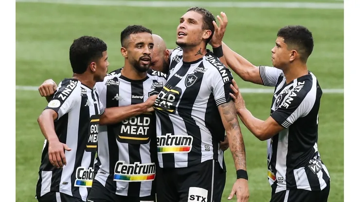 Torcedor do Botafogo tentou 'impedir' rebaixamento do Fogão para a Série B do Brasileirão; entenda